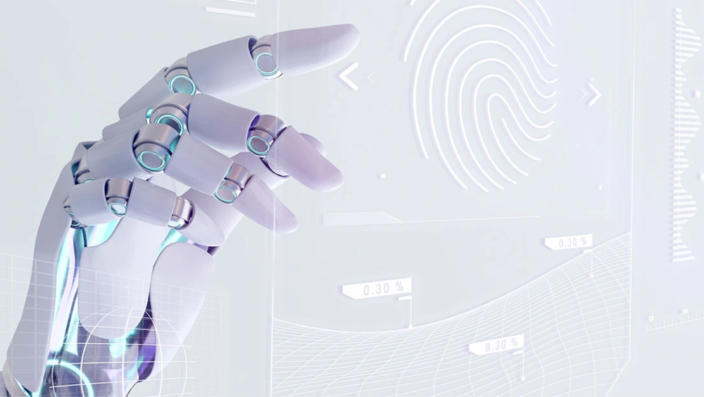 IT Outsourcing & Software Development